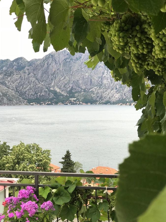 Vasko & Jana Apartment Kotor Exterior foto